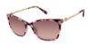 Picture of Ted Baker Sunglasses TWS259