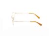 Picture of Gant Eyeglasses GA50097