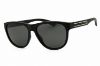 Picture of Polaroid Core Sunglasses PLD 2156/S