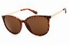 Picture of Draper James Sunglasses DJ9034