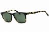 Picture of Timberland Sunglasses TB9306