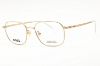 Picture of Hugo Boss Eyeglasses BOSS 1674/F