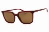 Picture of Polaroid Core Sunglasses PLD 4163/S