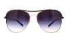 Picture of Michael Kors Sunglasses MK1012 Vivianna I
