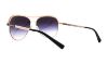 Picture of Michael Kors Sunglasses MK1012 Vivianna I