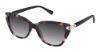 Picture of Superflex Sun Sunglasses SFS-2037