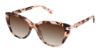 Picture of Superflex Sun Sunglasses SFS-2037