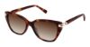 Picture of Superflex Sun Sunglasses SFS-2037