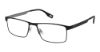 Picture of Evatik Eyeglasses E-9309