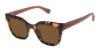 Picture of Superflex Sun Sunglasses SFS-2032