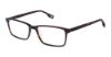Picture of Evatik Eyeglasses E-9316