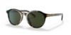 Picture of Coach Sunglasses HC8312U
