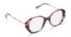 Picture of Sunday Somewhere Eyeglasses SAPHIRA