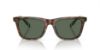 Picture of Polo Sunglasses PH4205U