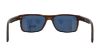 Picture of Hugo Boss Sunglasses 0919/S