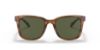 Picture of Coach Sunglasses HC8313U