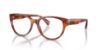 Picture of Ralph Eyeglasses RA7151
