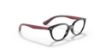 Picture of Ray Ban Jr Eyeglasses RY1612