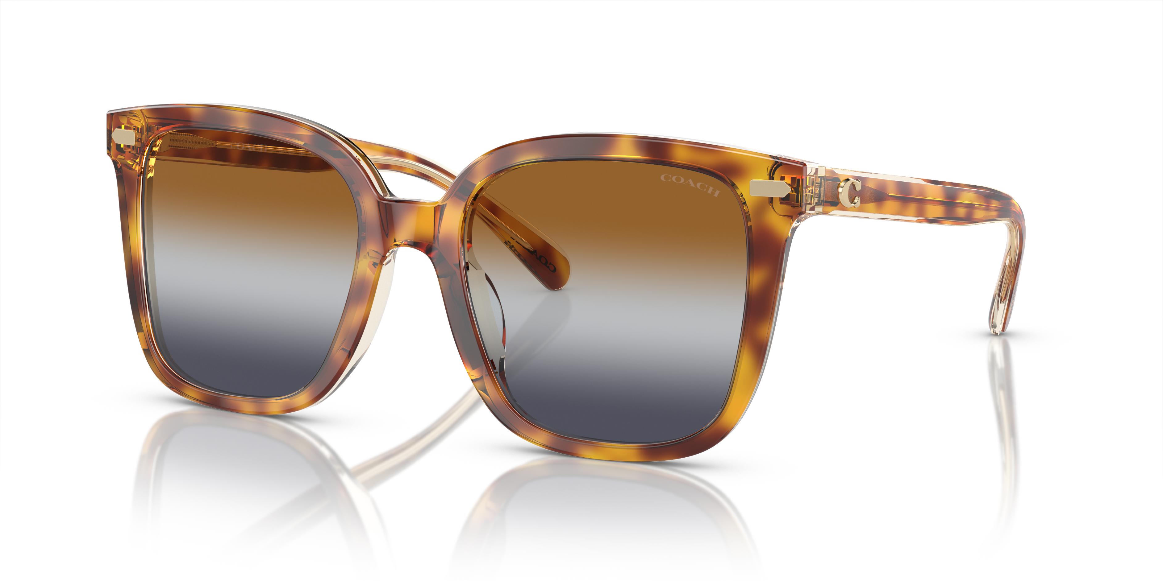 Picture of Coach Sunglasses HC8381U