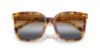 Picture of Coach Sunglasses HC8381U