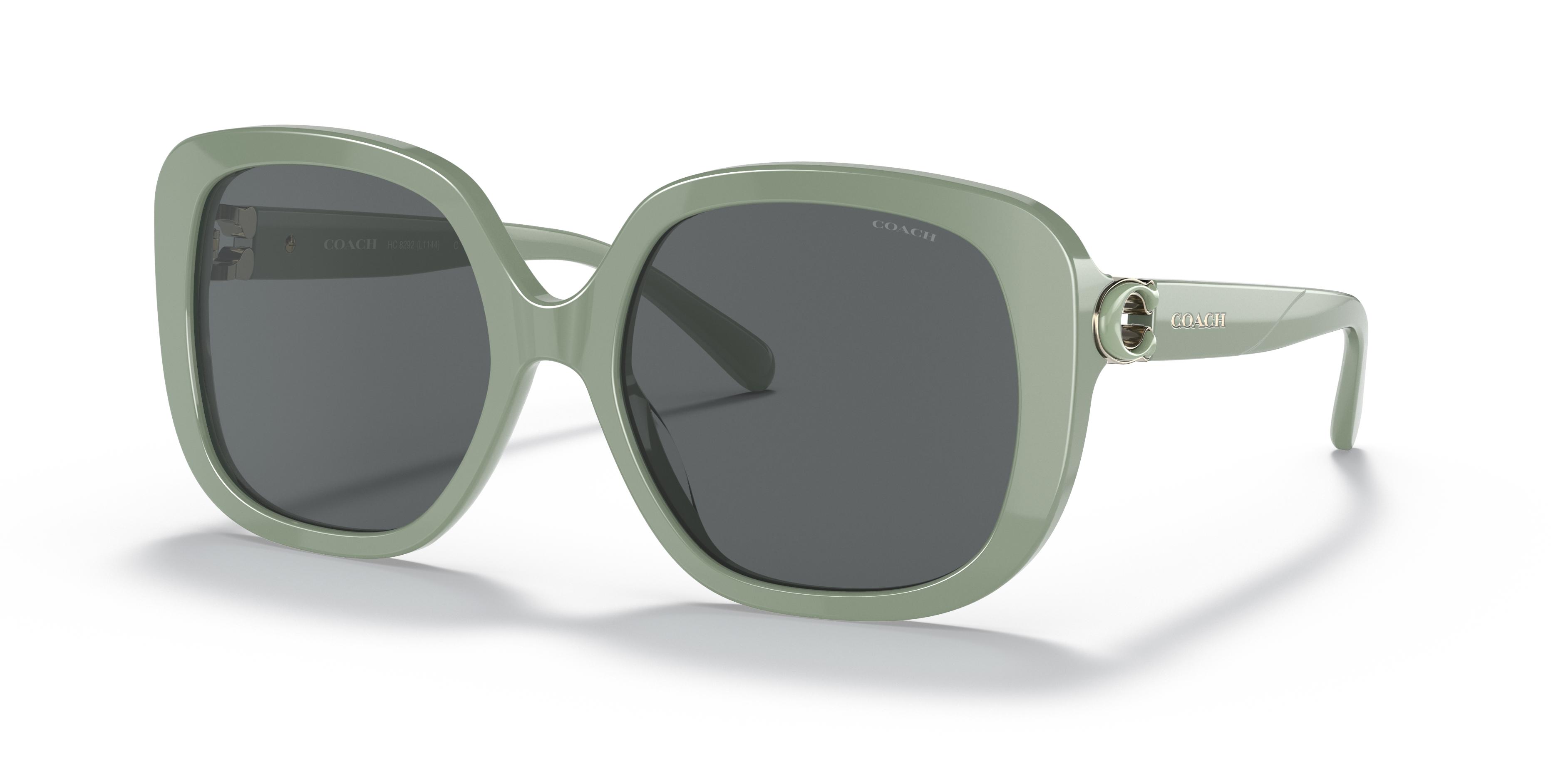 Picture of Coach Sunglasses HC8292