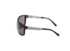 Picture of Harley Davidson Sunglasses HD00026