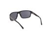 Picture of Harley Davidson Sunglasses HD00027