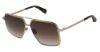 Picture of Allsaints Sunglasses ORIEN-ALS7008