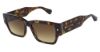 Picture of Allsaints Sunglasses IGGY-ALS5041
