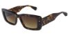Picture of Allsaints Sunglasses CORDIE-ALS5043