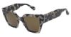 Picture of Allsaints Sunglasses BIBI-ALS5018