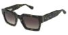 Picture of Allsaints Sunglasses BEAU-ALS5025