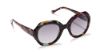 Picture of Sunday Somewhere Sunglasses PETUNIA