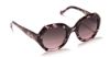Picture of Sunday Somewhere Sunglasses PETUNIA