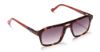 Picture of Sunday Somewhere Sunglasses PEONY