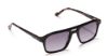 Picture of Sunday Somewhere Sunglasses PEONY