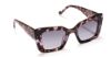 Picture of Sunday Somewhere Sunglasses ISLA
