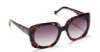 Picture of Sunday Somewhere Sunglasses DAPHNE