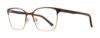 Picture of Eight to Eighty Eyeglasses Hazel