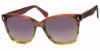 Picture of Suntrends Sunglasses ST224